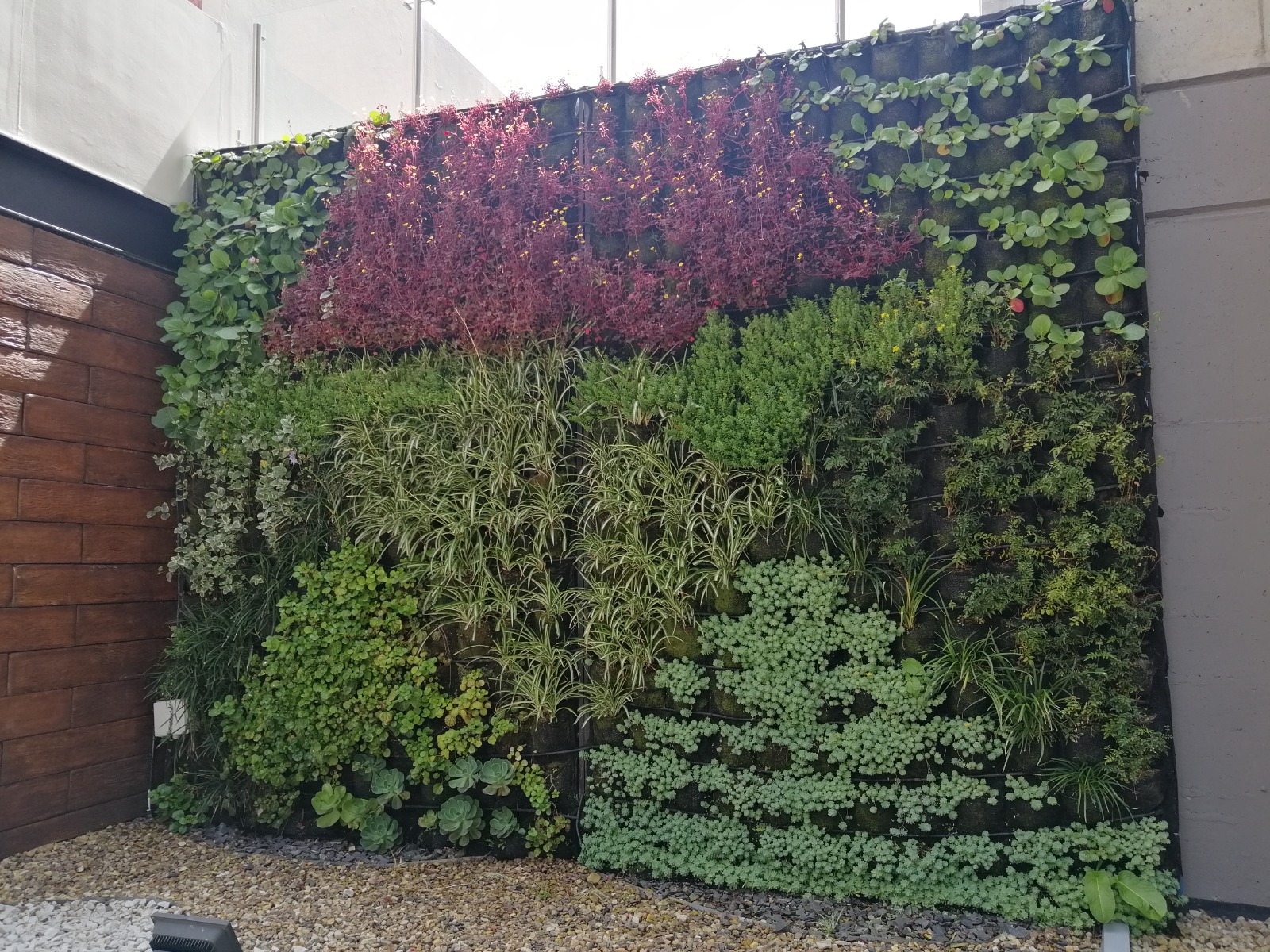 Jardin Natural